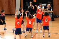 18.03.2012 - Turnier der Minis