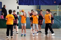 18.03.2012 - Turnier der Minis