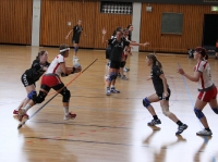 25.04.2009 - F-BOL gegen SU Nieder-Florstadt