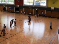 25.04.2009 - F-BOL gegen SU Nieder-Florstadt