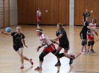 25.04.2009 - F-BOL gegen SU Nieder-Florstadt