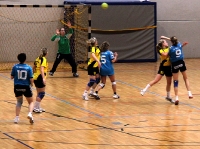 Spieltag 09.01.2010 - Halbfinale