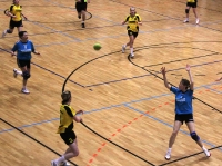 Spieltag 09.01.2010 - Halbfinale