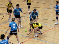 Spieltag 09.01.2010 - Halbfinale