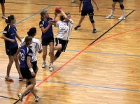 Spieltag 09.01.2010 - Halbfinale