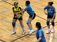 Spieltag 09.01.2010 - Halbfinale