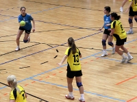 Spieltag 09.01.2010 - Halbfinale