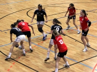 Spieltag 09.01.2010 - Halbfinale