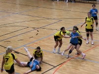 Spieltag 09.01.2010 - Halbfinale