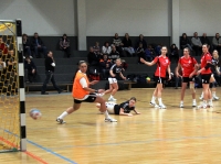 Spieltag 09.01.2010 - Halbfinale