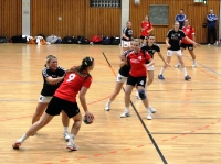 Spieltag 09.01.2010 - Halbfinale