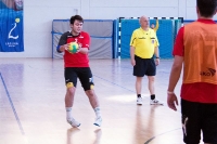 Spieltag 12.01.2014 (Finale)