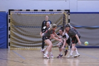  Spieltag 05.01.17 (Foto: Reiner Knapp)_76