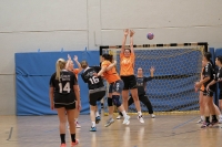 Spieltag 03.01.17_64