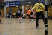 Spieltag 03.01.17_78