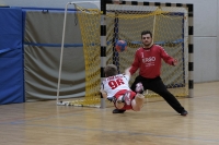 Spieltag 03.01.17_91