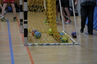 Spieltag 06.01.17_119