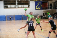 Spieltag 30.12.16 (Foto: Reiner Knapp)_82