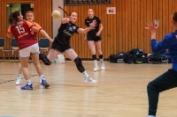 Spieltag 03.01.25 Spiel 8: HSG Dilltal / KSG Bieber(Fotos: Jörg Förster)