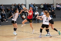 Spieltag 10.01.25 Spiel 24: HSG Linden / HSG Wettenberg (Fotos: Reiner Knapp)