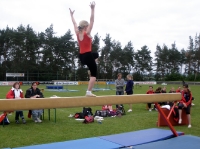 19.+20.06.2010 - Gauturnfest Haiger