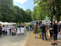06.2019 Stadtfest 2019
